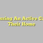 Accessing An Active Casino Their Home