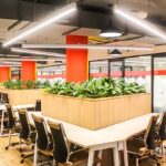 The Rise of Collaborative Work: Exploring the Thriving Coworking Spaces