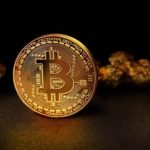 The Rise of Digital Gold: Unleashing the Potential of Cryptocurrency