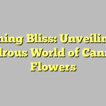 Blooming Bliss: Unveiling the Wondrous World of Cannabis Flowers