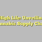 The High Life: Unveiling the Cannabis Supply Chain