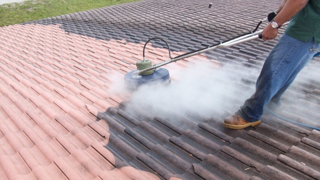 Mastering the Art of Roof Cleaning: Enhancing Aesthetics and Longevity