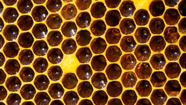 Buzzing with Danger: The Mysteries of Mad Honey