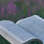 Biblical Insights: Delving Into The Scriptures Through Bible Study