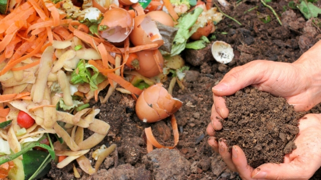 Nurturing with Nature: Unleashing the Power of Organic Fertilizers