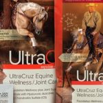 The Ultimate Guide to Optimizing Horse Health with Supplements