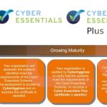 Protecting Your Online Presence: Unleashing the Power of Cyber Essentials