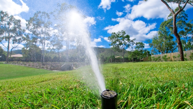 A Sprinkle of Protection: Essential Sprinkler Maintenance Tips