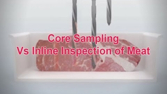 Tantalizing Tastes: Exploring the Meat Sampling Tray