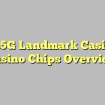 11.5G Landmark Casino Casino Chips Overview