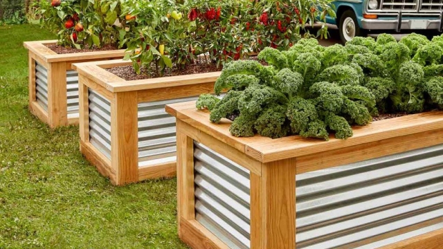 Blooming Ideas: Creative Garden Bed Designs to Elevate Your Outdoor Space