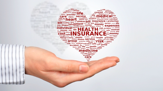 Insuring Your Future: A Closer Look at Insurance Agencies