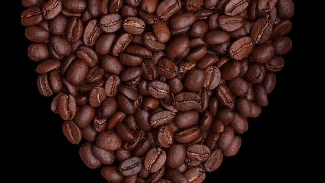 Unearthing the Richness: A Dive into the World of Organic Coffee Beans