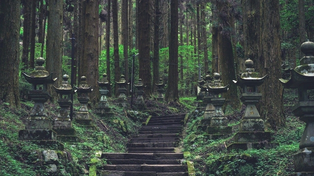 Discover Japan’s Sacred Treasures: The Ultimate Shrine Rankings